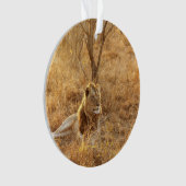 Lion Ornament (Vorderseite)