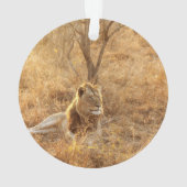 Lion Ornament (Rückseite)