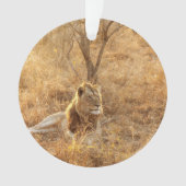 Lion Ornament (Vorderseite)