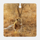 Lion Ornament Aus Metall (Rückseite)