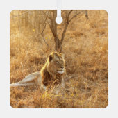 Lion Ornament Aus Metall (Vorderseite)