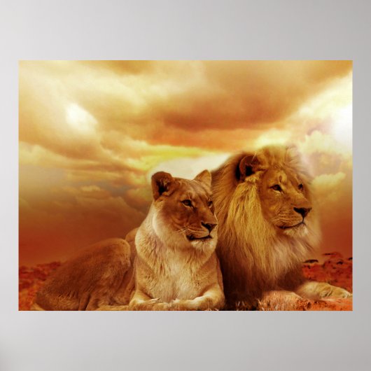 Lion Pair Posters Poster (Vorne)