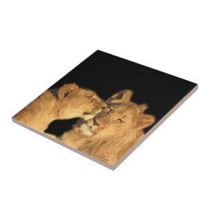 Lion Pair Tile (oder in Keepake Box umwandeln) Fliese
