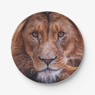 Lion Pappteller