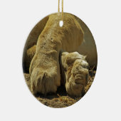 Lion Paws Keramikornament (Rechts)