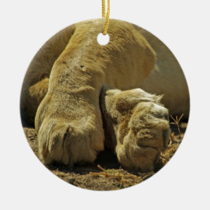 Lion Paws Keramikornament