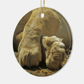 Lion Paws Keramikornament (Links)