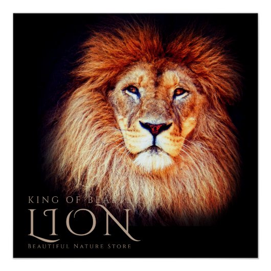 Lion [Perfect Poster] Poster (Vorderseite)