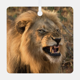 LION Personalize Name Foto Weihnachten Ornament Aus Metall