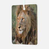 LION Personalize Name Foto Weihnachten Ornament Aus Metall (Vorderseite links)