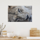 Lion Perspective Poster (Küche)
