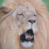 Lion Picture Big Cat Wildlife Realist Art Puzzle