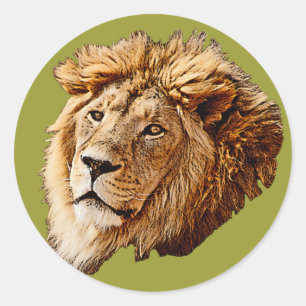 Lion Picture Runder Aufkleber