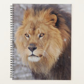 Lion Planer (Vorderseite)