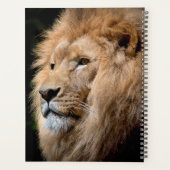 Lion Planer (Rückseite)