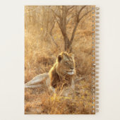 Lion Planer (Rückseite)