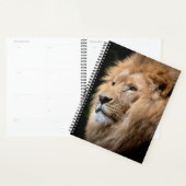 Lion Planer (Anzeige)