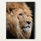 Lion Planer (Rückseite)