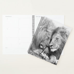 Lion Planer