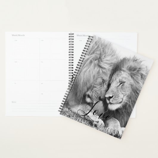 Lion Planer (Anzeige)