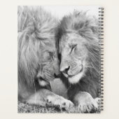 Lion Planer (Rückseite)