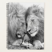 Lion Planer (Vorderseite)