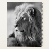 Lion Planer (Rückseite)