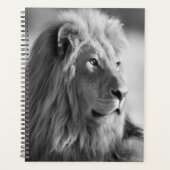 Lion Planer (Vorderseite)