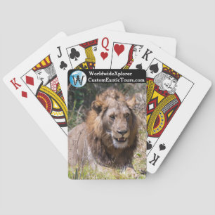 Lion Playing Cards Spielkarten