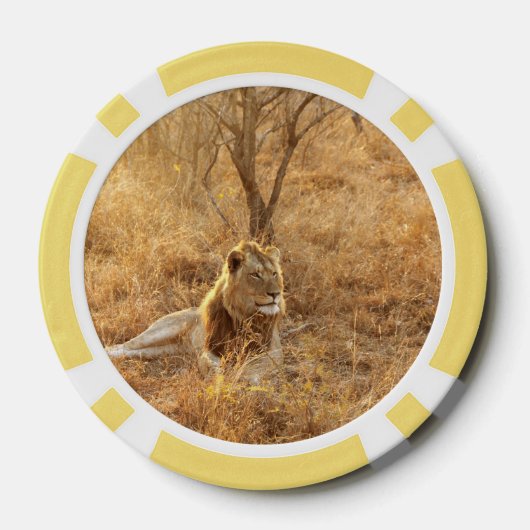 Lion Pokerchips (Rückseite)