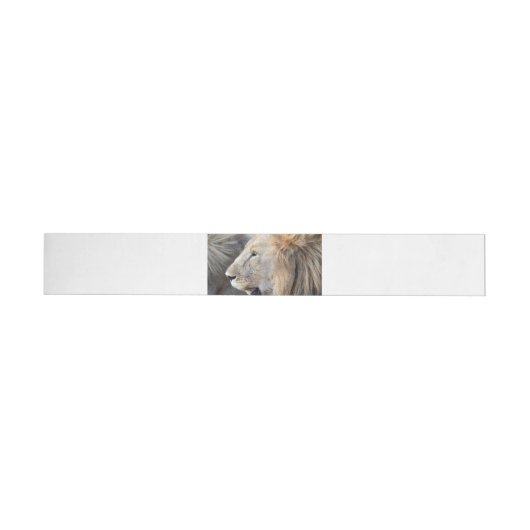 Lion Portrait (Person)