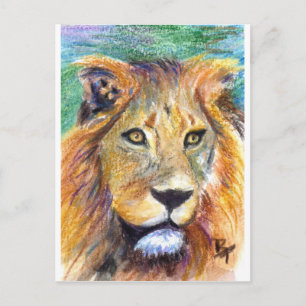 Lion Portrait ACEO Postkarte