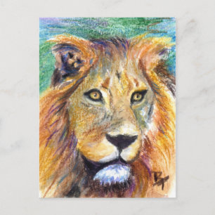 Lion Portrait ACEO Postkarte