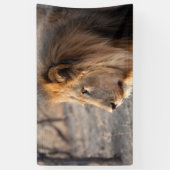Lion Portrait Banner (Vertikal)