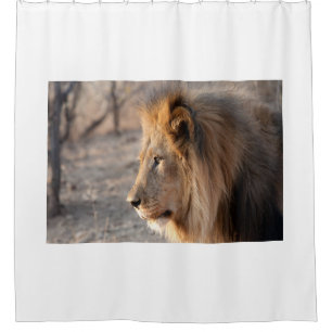 Lion Portrait Duschvorhang