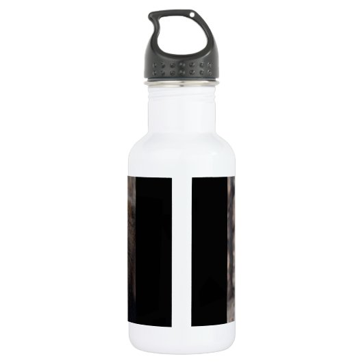 Lion Portrait Edelstahlflasche (Rückseite)