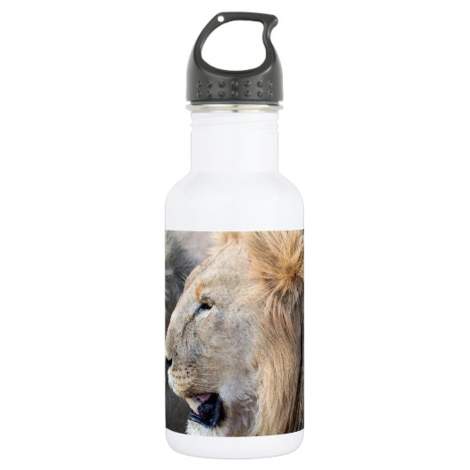 Lion Portrait Edelstahlflasche (Vorderseite)