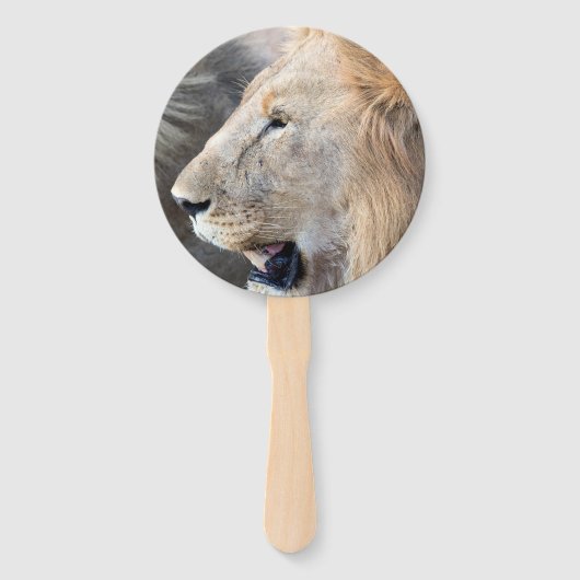 Lion Portrait Fächer (Rückseite)