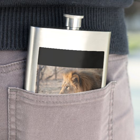 Lion Portrait Flachmann (Beispiel)