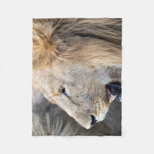 Lion Portrait Fleecedecke