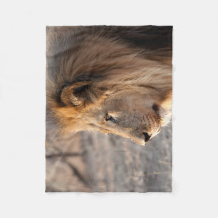 Lion Portrait Fleecedecke