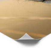 Lion-Portrait-Foto Poster (Ecke)