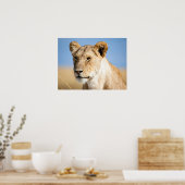 Lion-Portrait-Foto Poster (Küche)