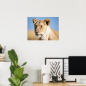 Lion-Portrait-Foto Poster (Heimbüro)
