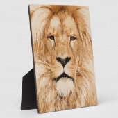 LION PORTRAIT FOTOPLATTE (Seite)