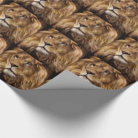 Lion-Portrait Geschenkpapier (Ecke)