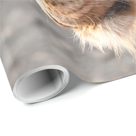 Lion Portrait Geschenkpapier (Rolleneckpunkt)