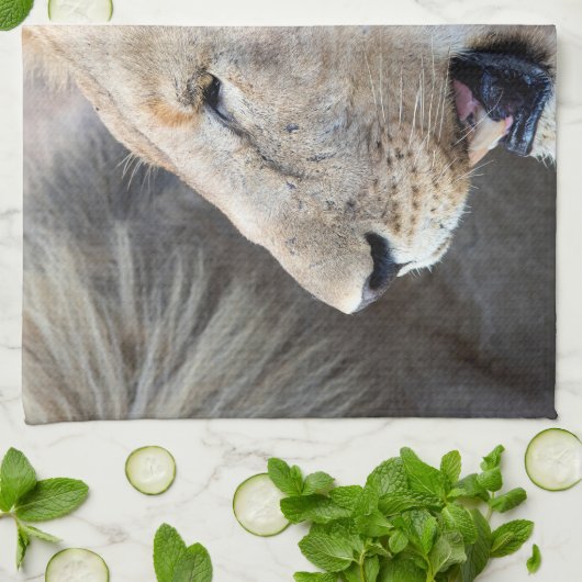 Lion Portrait Geschirrtuch (Gefaltet)