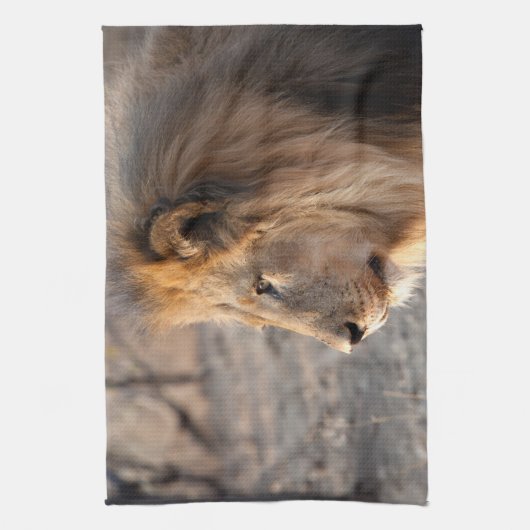 Lion Portrait Geschirrtuch (Vertikal)