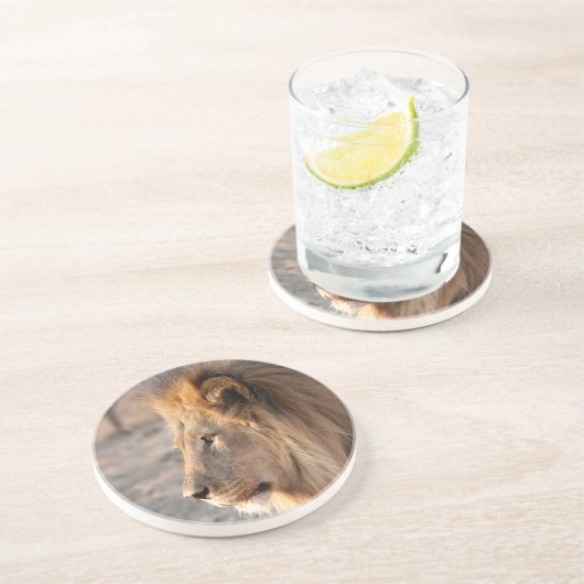 Lion Portrait Getränkeuntersetzer (Seite)